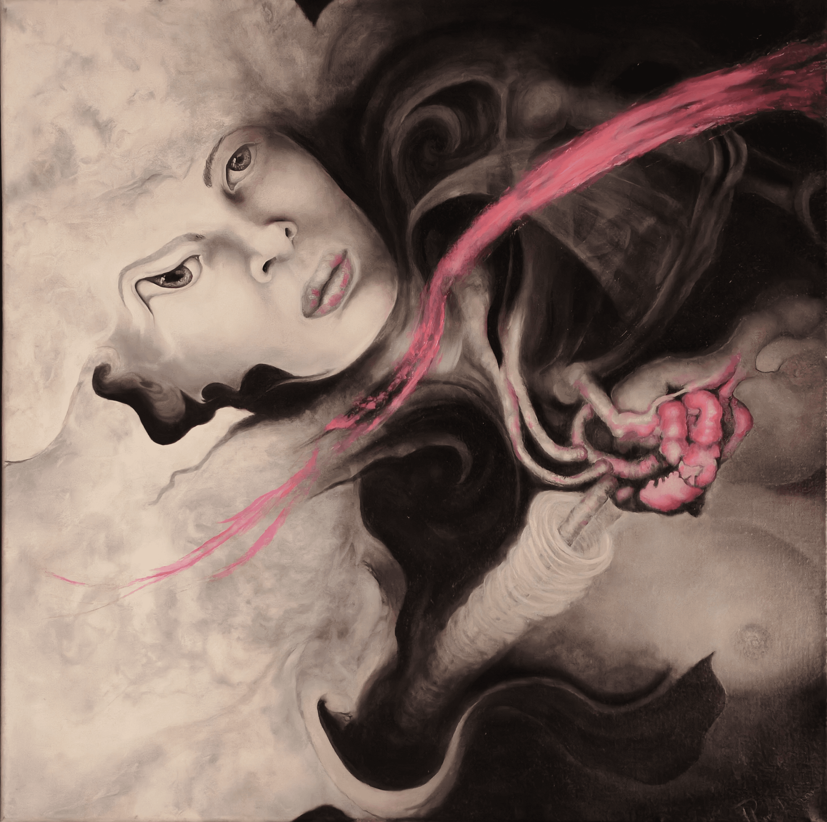 Entre sombras y carmín